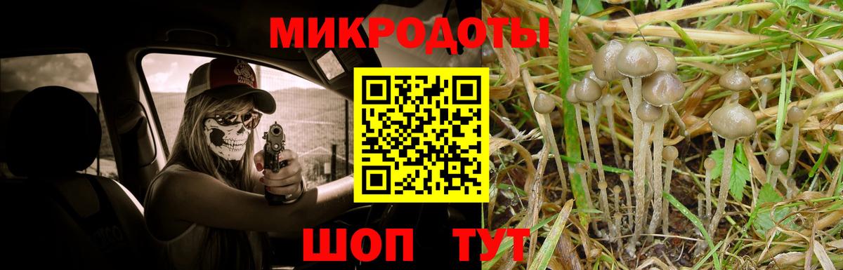 Галлюциногенные грибы ЛСД  Вход с VPN  Шебекино 